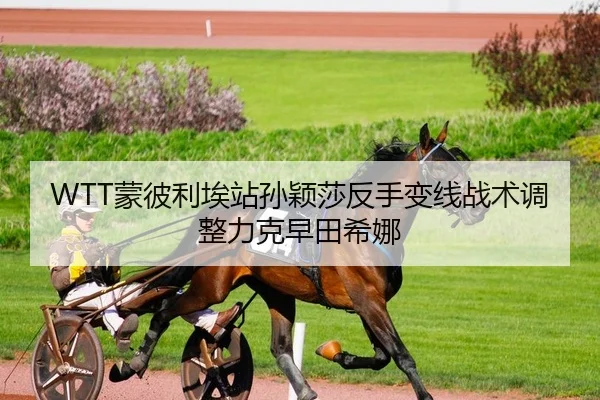 WTT蒙彼利埃站孙颖莎反手变线战术调整力克早田希娜