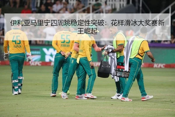 yi-li-ya-ma-li-ning-si-zhou-tiao-wen-ding-xing-tu-po-hua-yang-hua-bing-da-jiang-sai-xin-wang-jue-qi-2-503.jpg